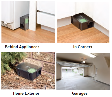 rat bait station t1 disposable placement stations suggestions