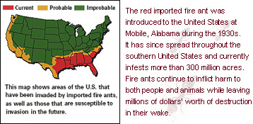 Fire ant map